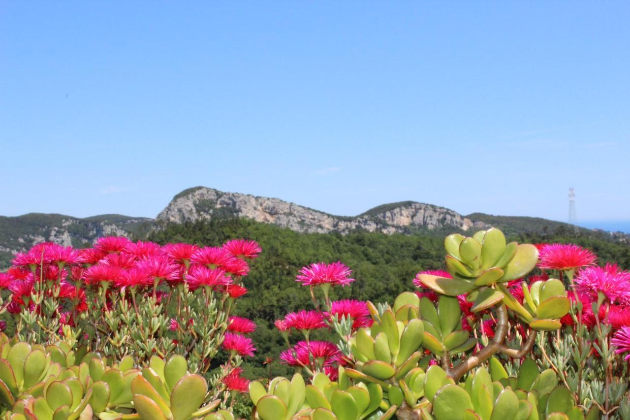 Segni E Impronta Bed & Breakfast Finale Ligure Ngoại thất bức ảnh