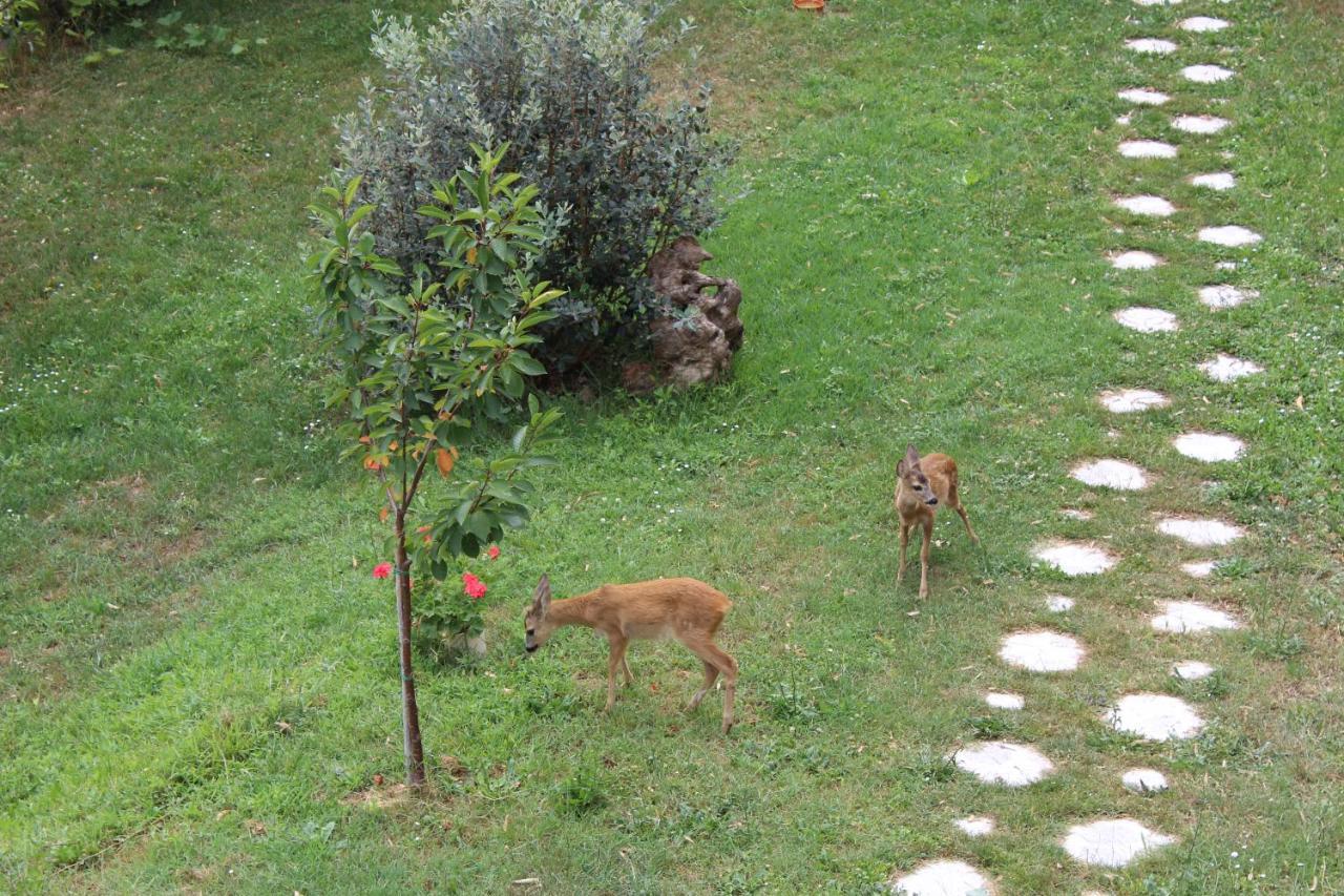 Segni E Impronta Bed & Breakfast Finale Ligure Ngoại thất bức ảnh