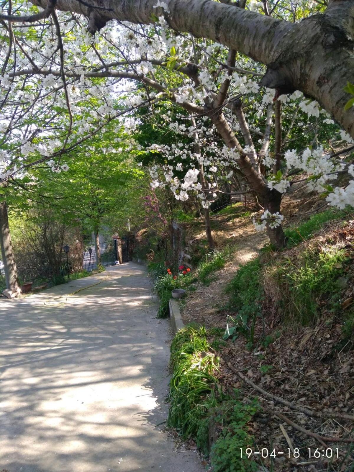 Segni E Impronta Bed & Breakfast Finale Ligure Ngoại thất bức ảnh