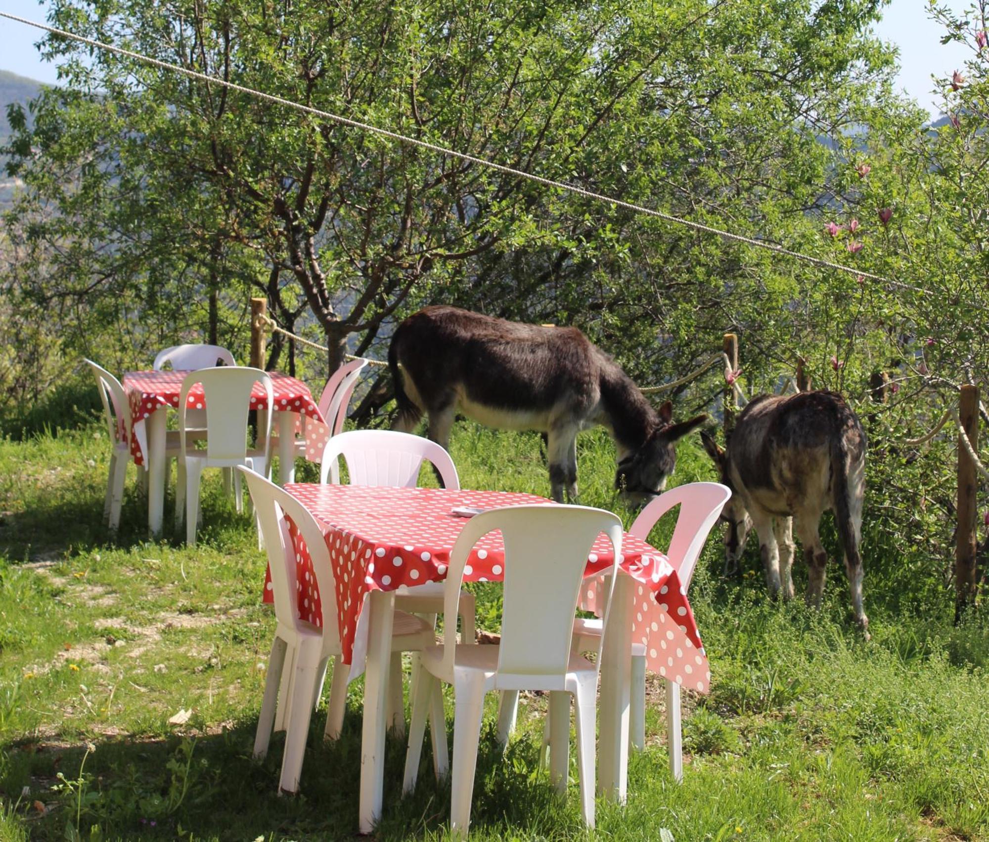 Segni E Impronta Bed & Breakfast Finale Ligure Ngoại thất bức ảnh